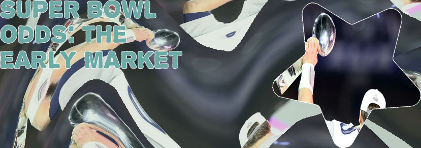 Super bowl odds for next year